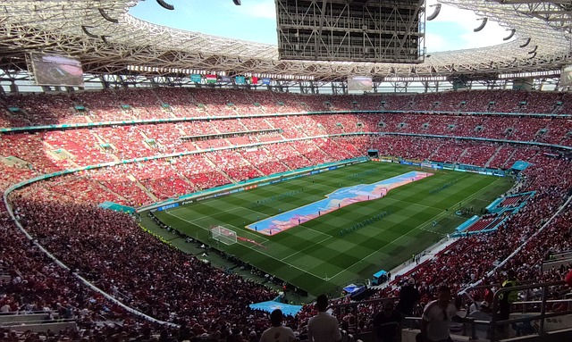 这场失利不 这场失利不