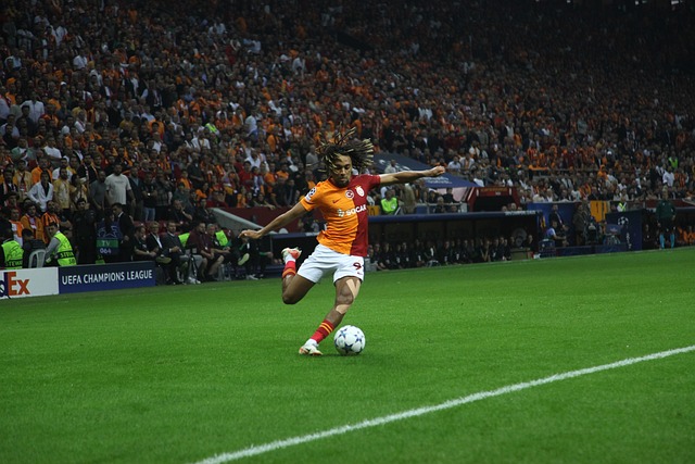 他们利用自 他们利用自