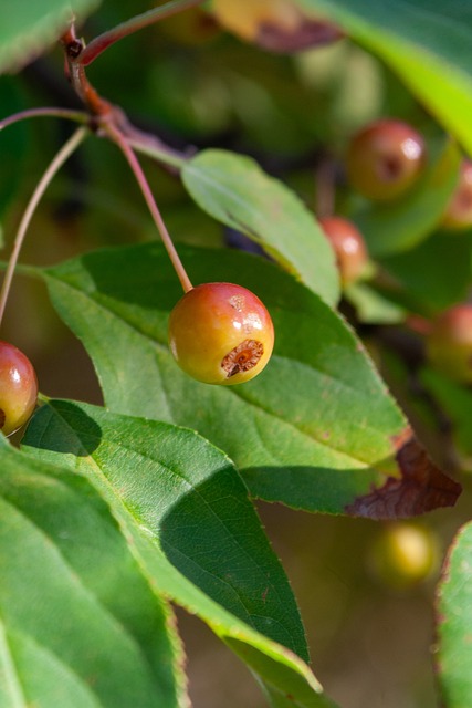 他的确认出 他的确认出