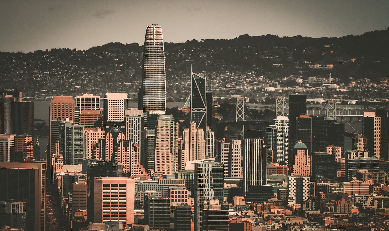 他也創造了 他也創造了