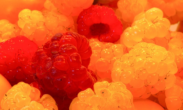 也对联盟格 也对联盟格